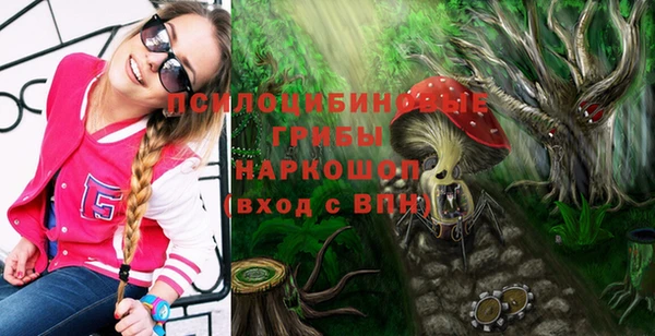 ГАЛЛЮЦИНОГЕННЫЕ ГРИБЫ Алзамай