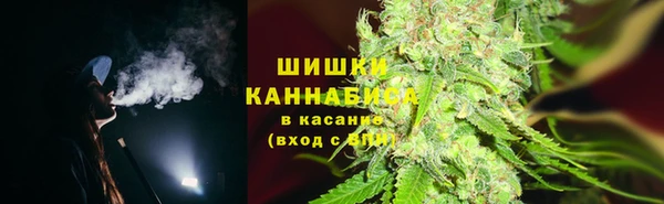 ГАЛЛЮЦИНОГЕННЫЕ ГРИБЫ Алзамай